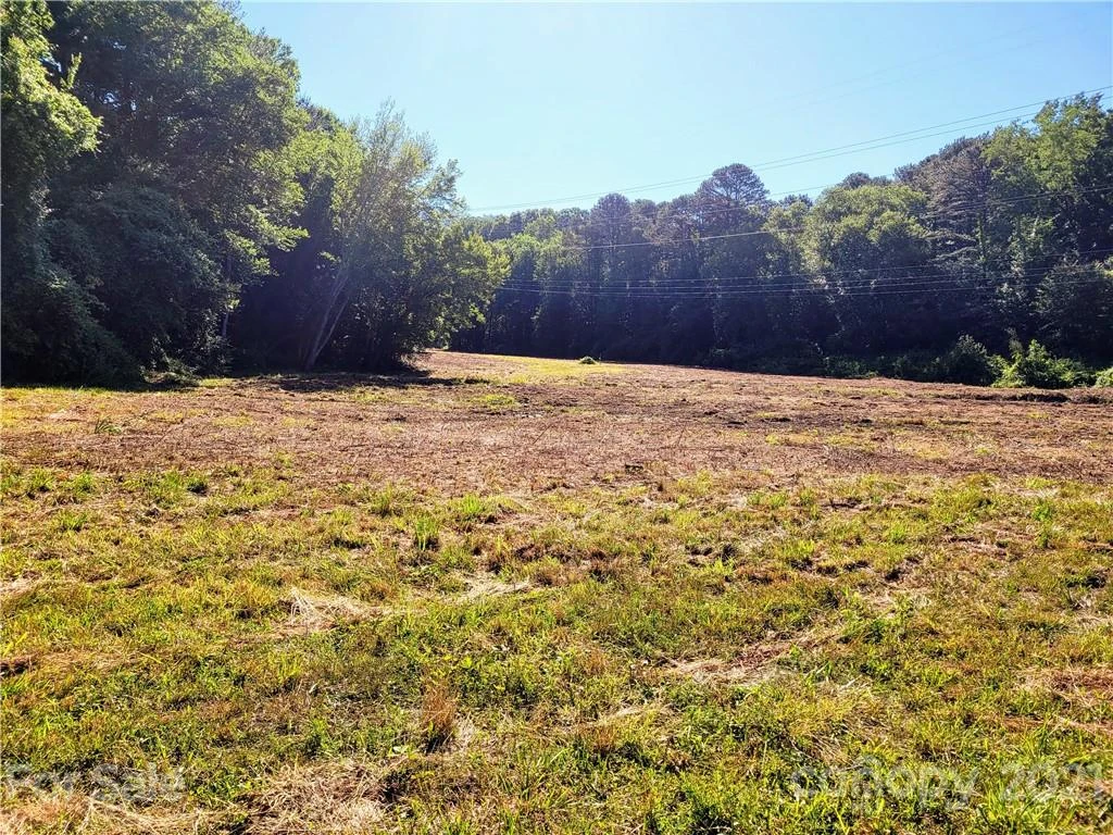 99999 Hendersonville Road - Photo 11