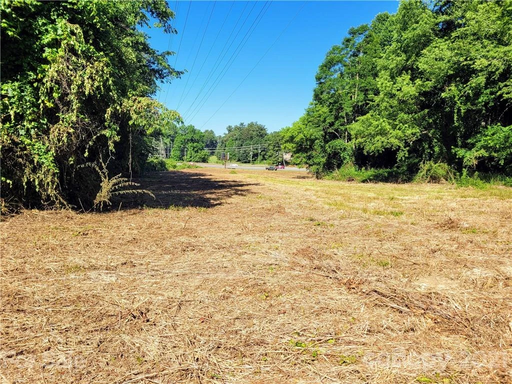 99999 Hendersonville Road - Photo 12
