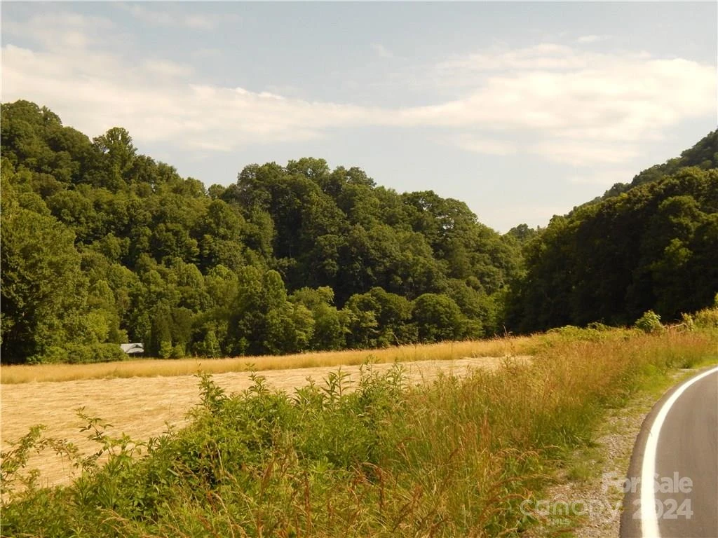 0 NC 209 Highway - Photo 2