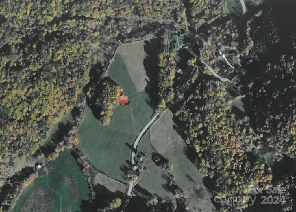 0 NC 209 Highway - Photo 11