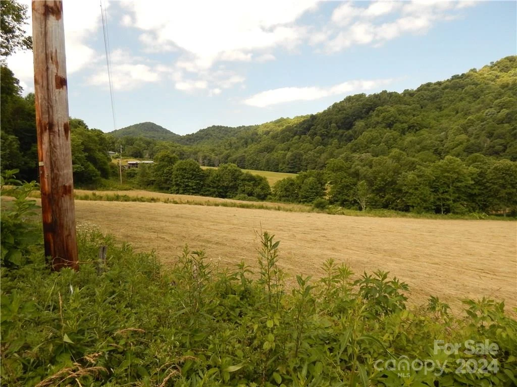 0 NC 209 Highway - Photo 3