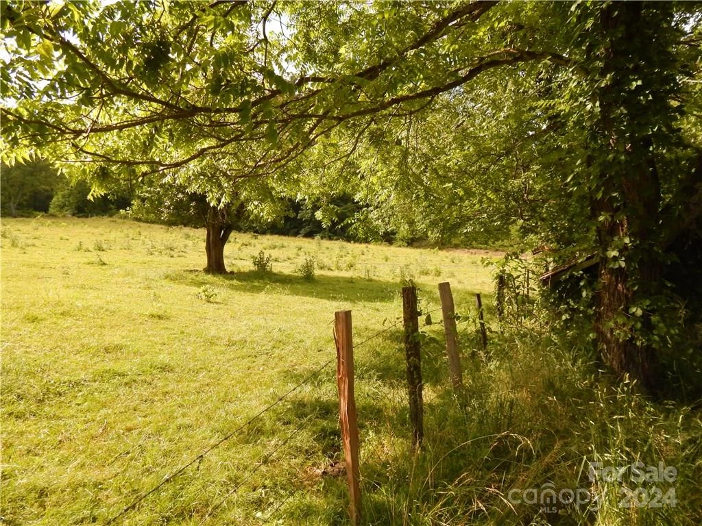0 NC 209 Highway - Photo 4