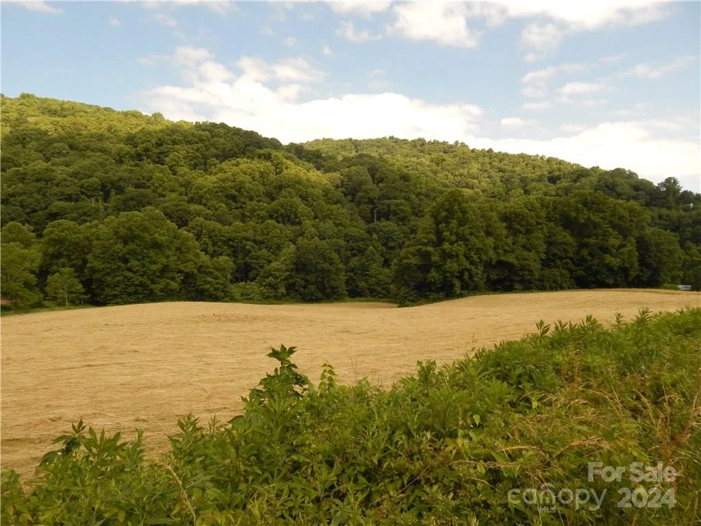0 NC 209 Highway - Photo 6