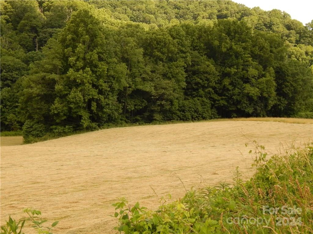 0 NC 209 Highway - Photo 7