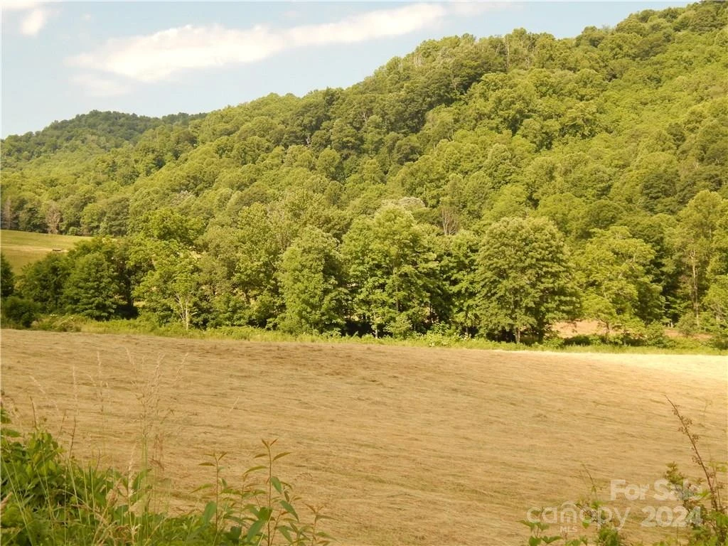 0 NC 209 Highway - Photo 10