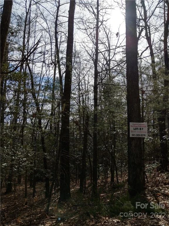 000 Dogwood Drive #E7 - Photo 2