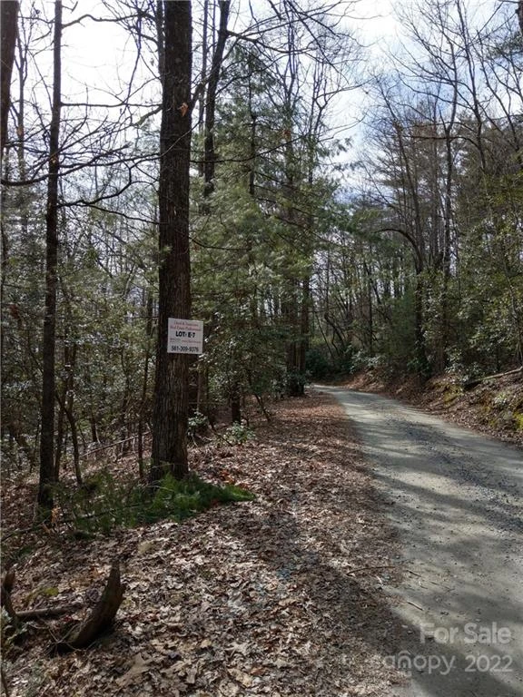 000 Dogwood Drive #E7 - Photo 3