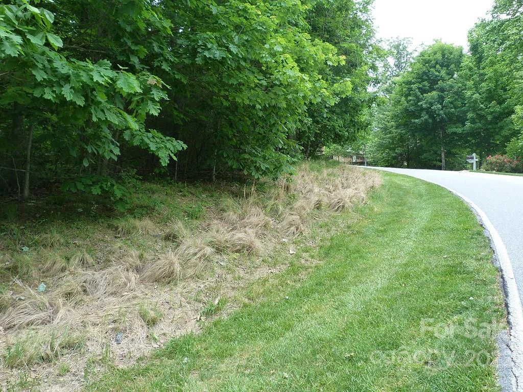 201 BENT PINE Trace #180 - Photo 4