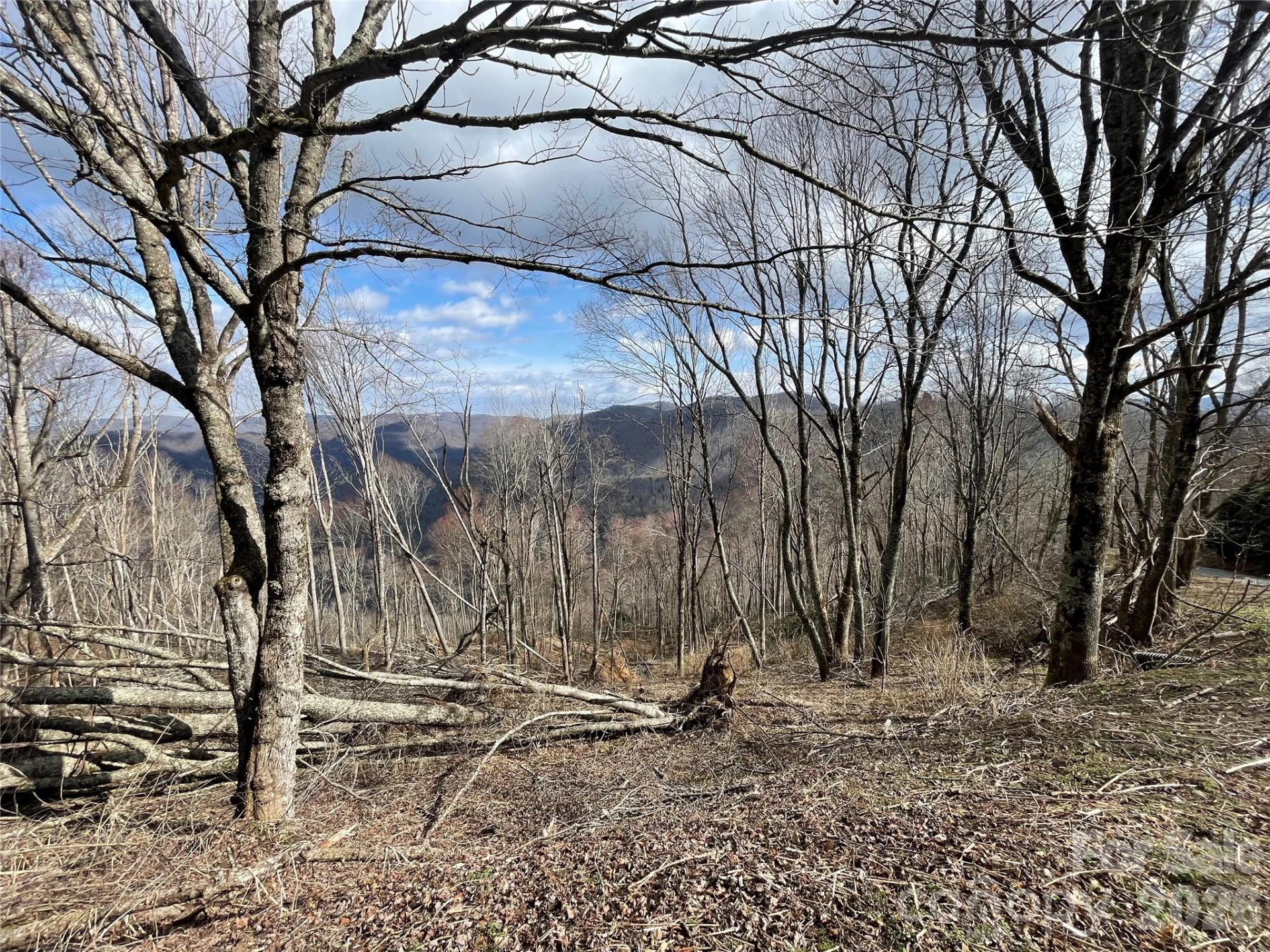 Lot #39 Ridge Top Circle - Photo 2
