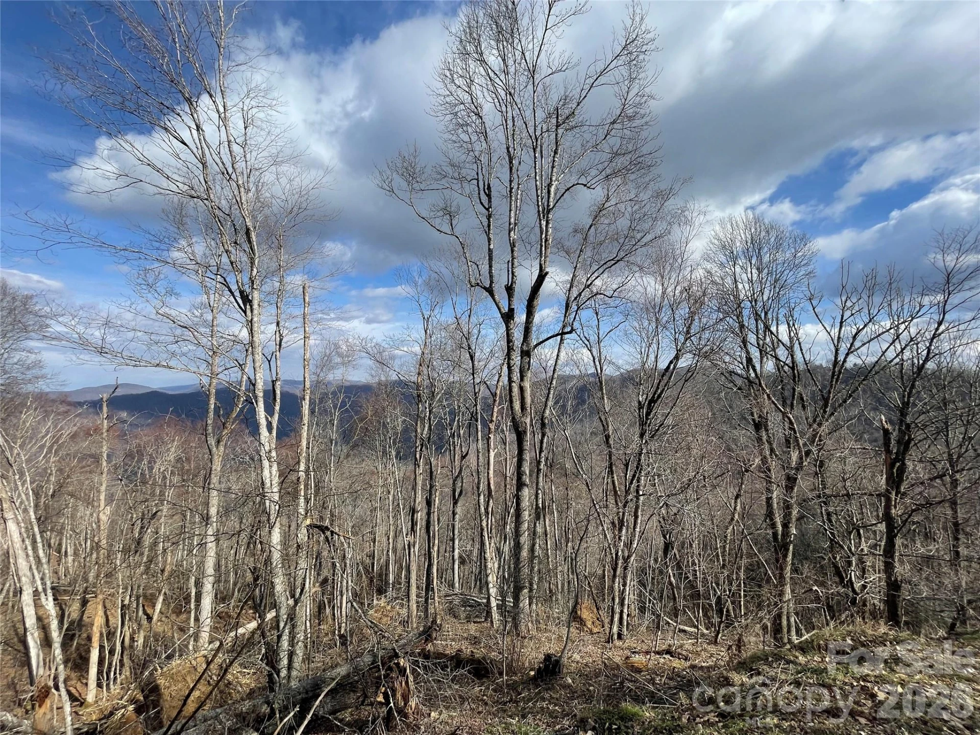 Lot #39 Ridge Top Circle - Photo 3