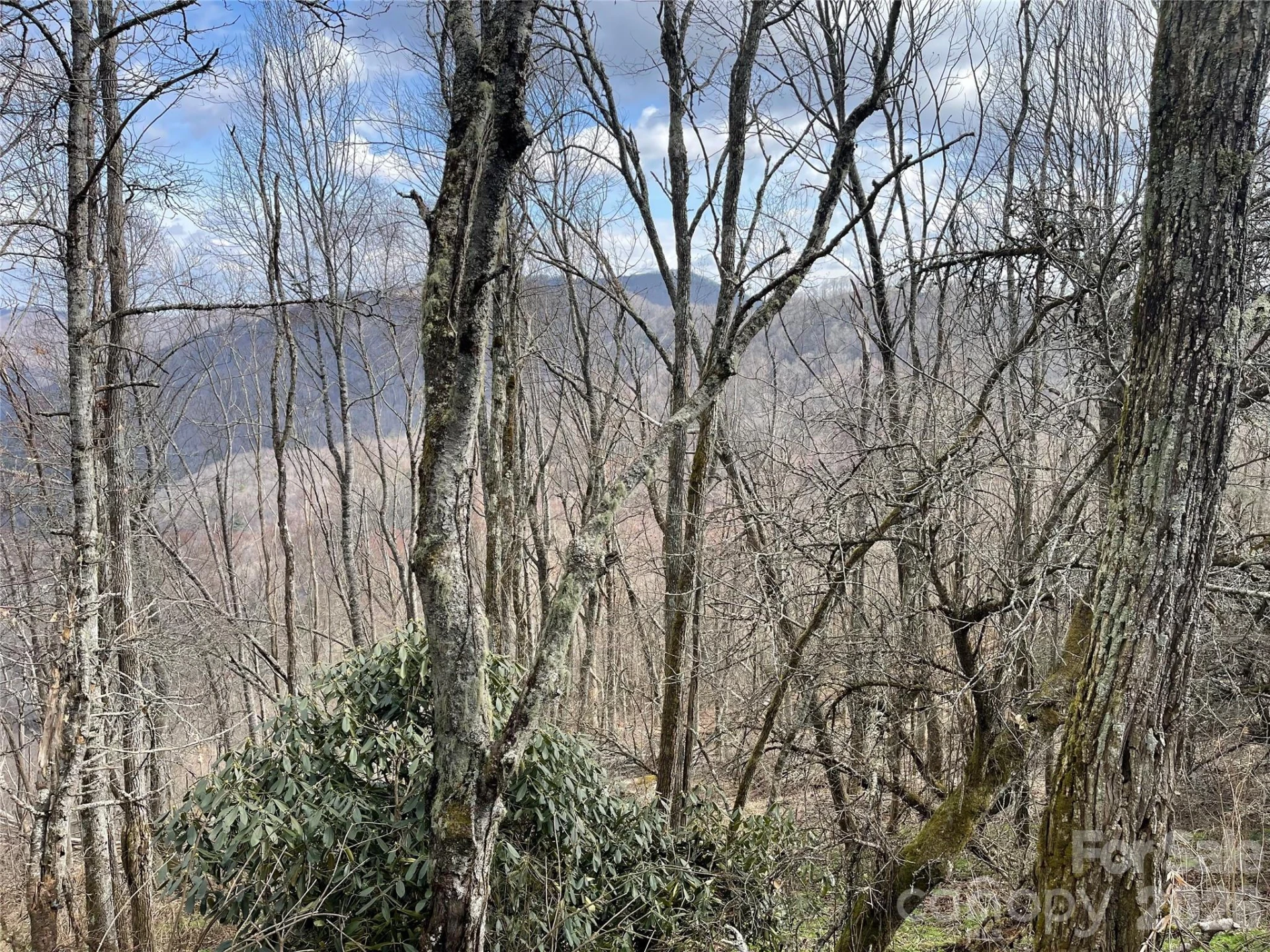 Lot #39 Ridge Top Circle - Photo 23