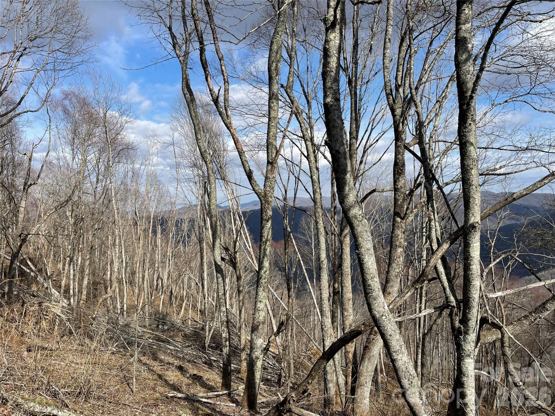Lot #39 Ridge Top Circle - Photo 25