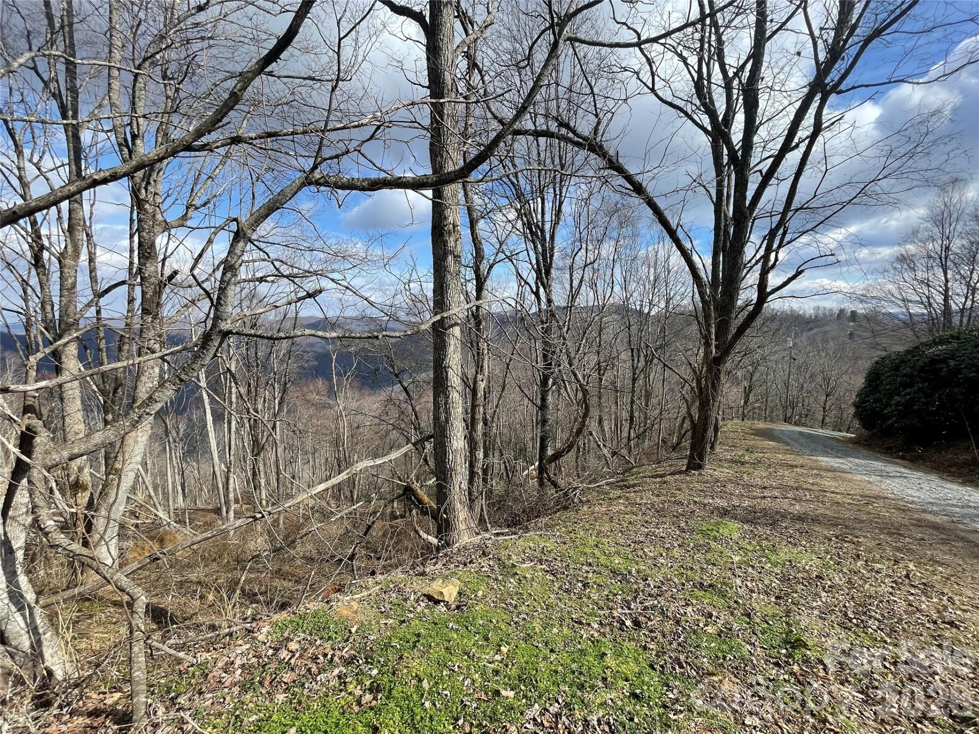 Lot #39 Ridge Top Circle - Photo 26