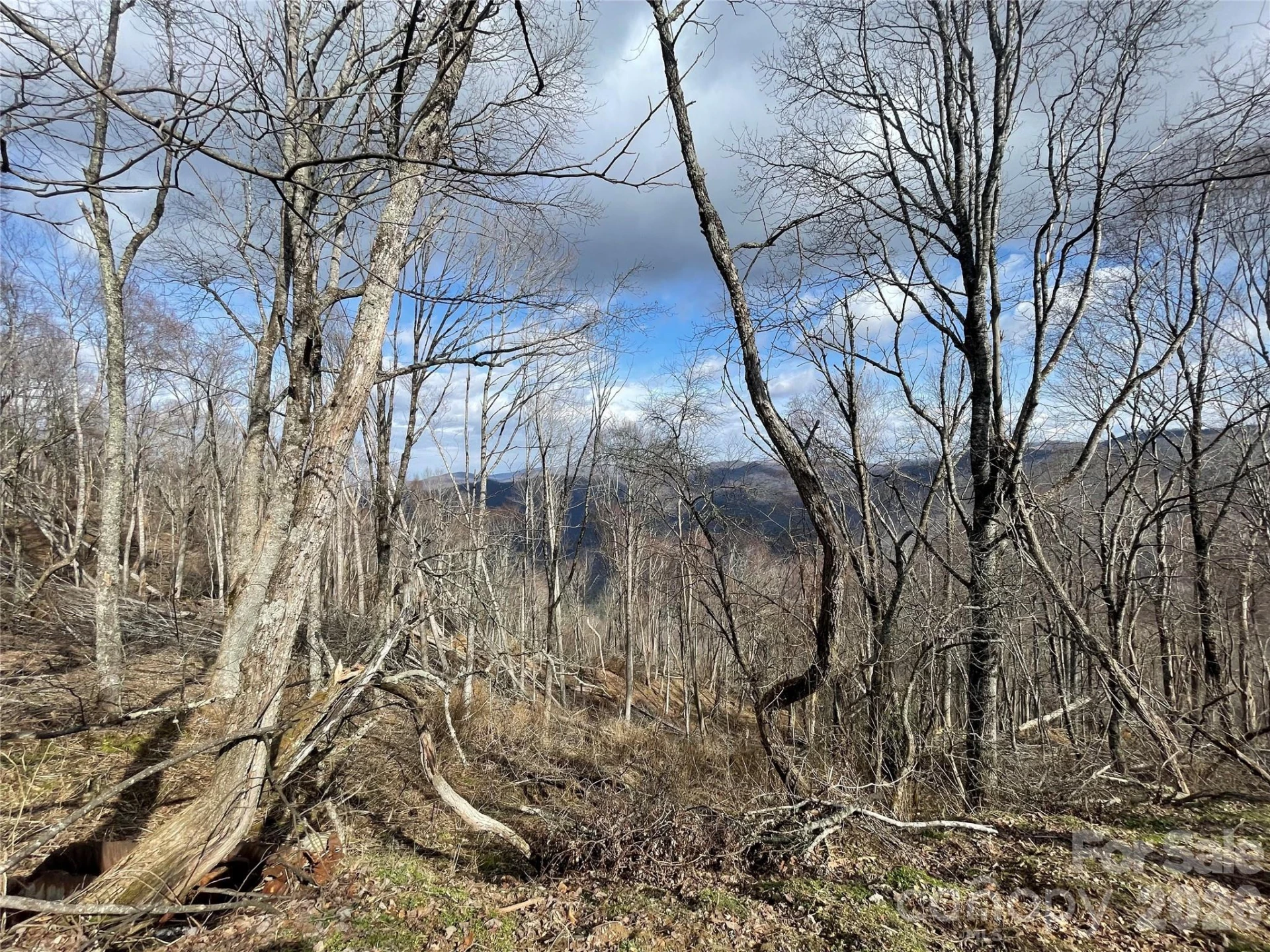 Lot #39 Ridge Top Circle - Photo 27