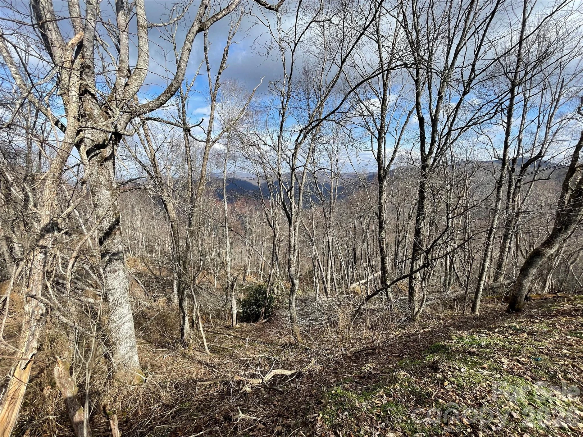 Lot #39 Ridge Top Circle - Photo 28