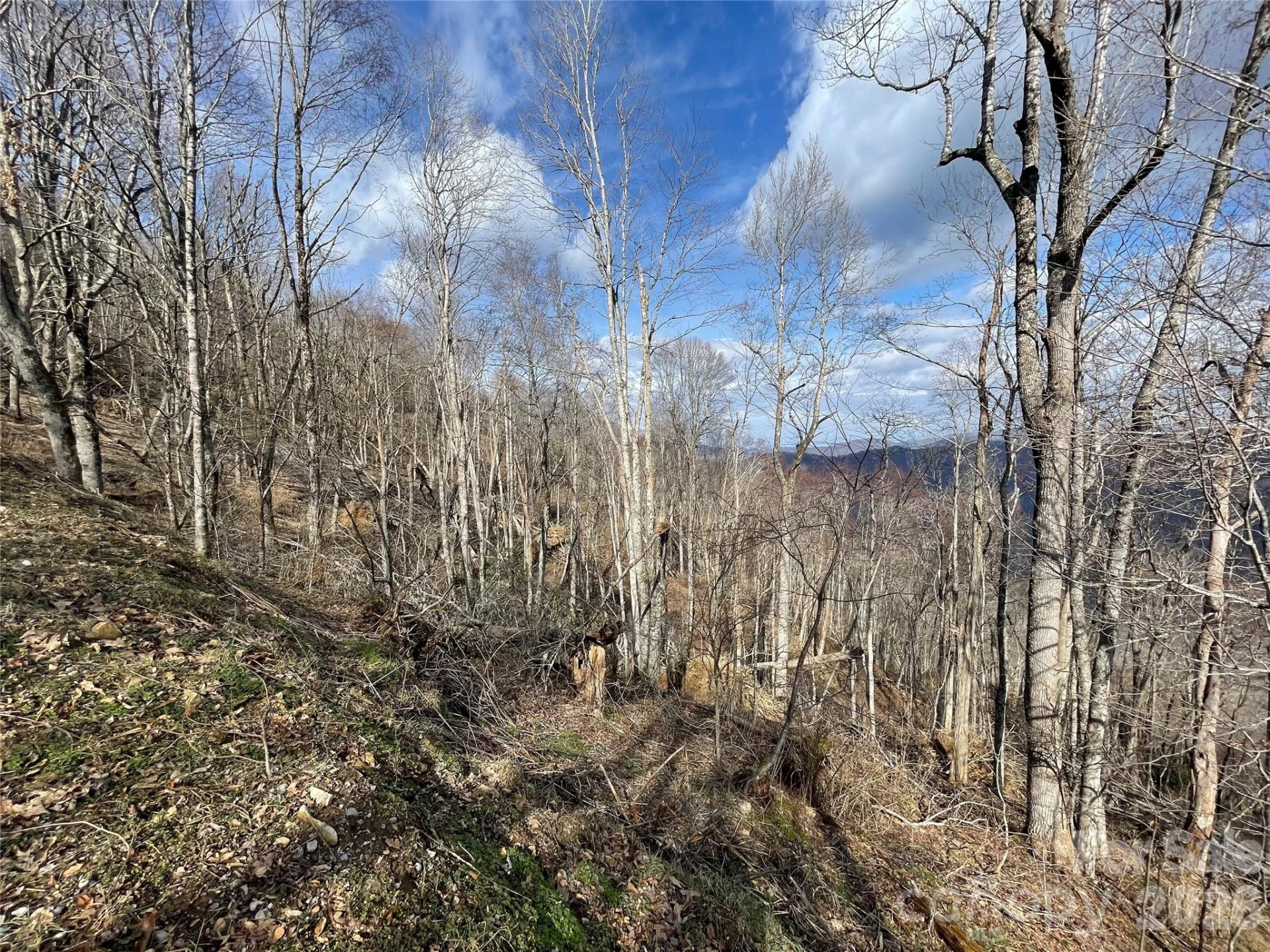 Lot #39 Ridge Top Circle - Photo 30