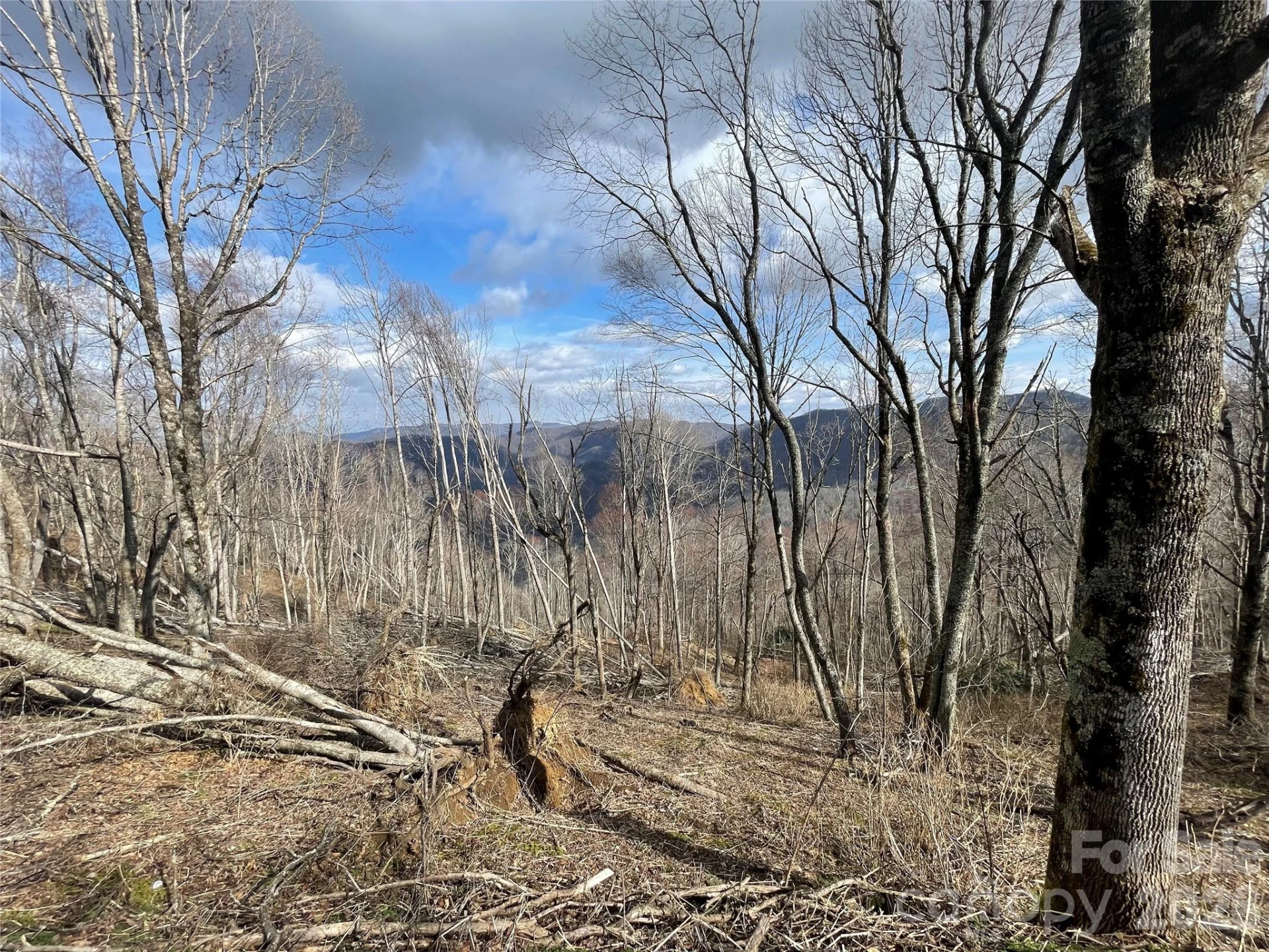 Lot #39 Ridge Top Circle - Photo 4