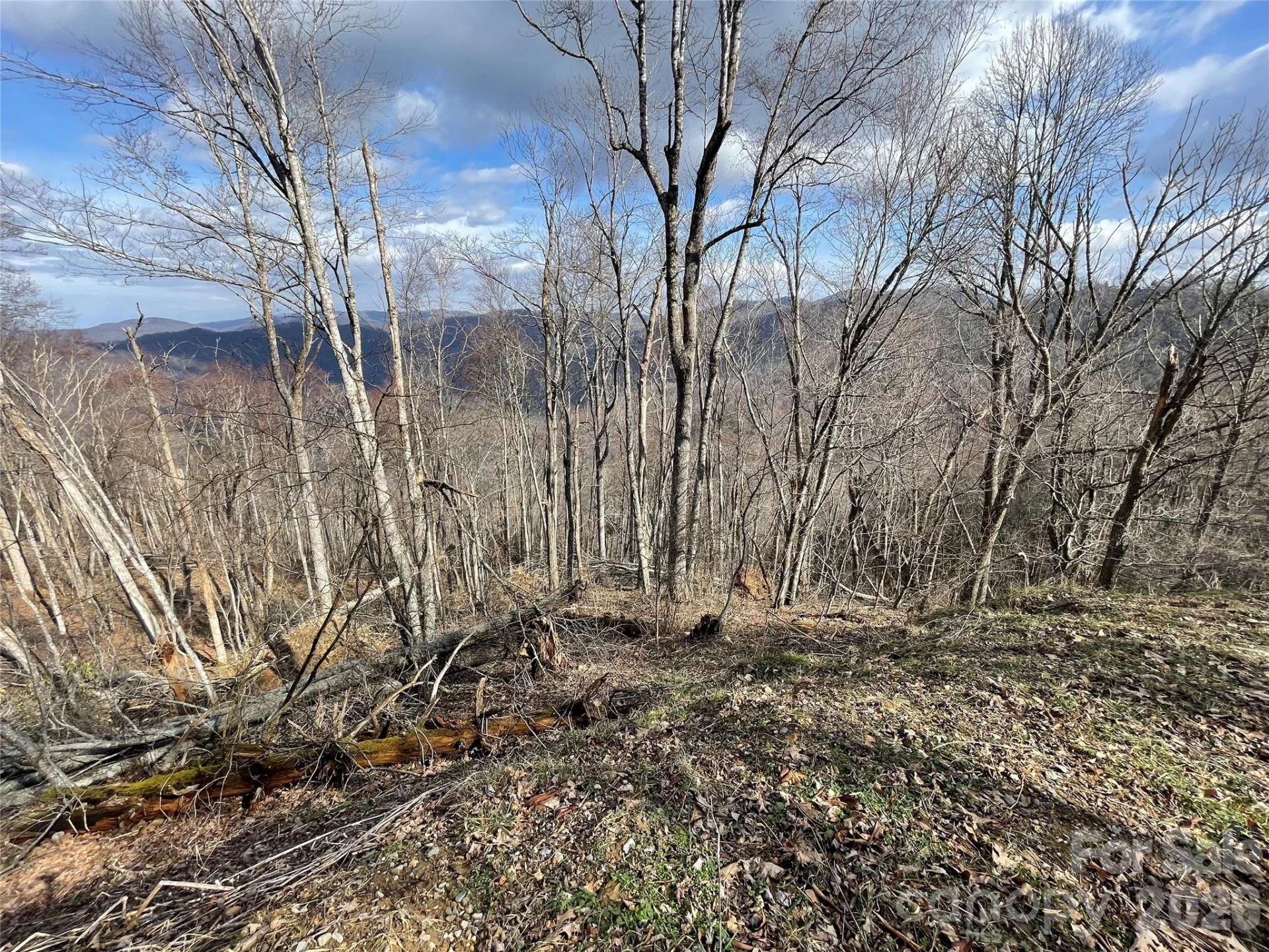 Lot #39 Ridge Top Circle - Photo 32