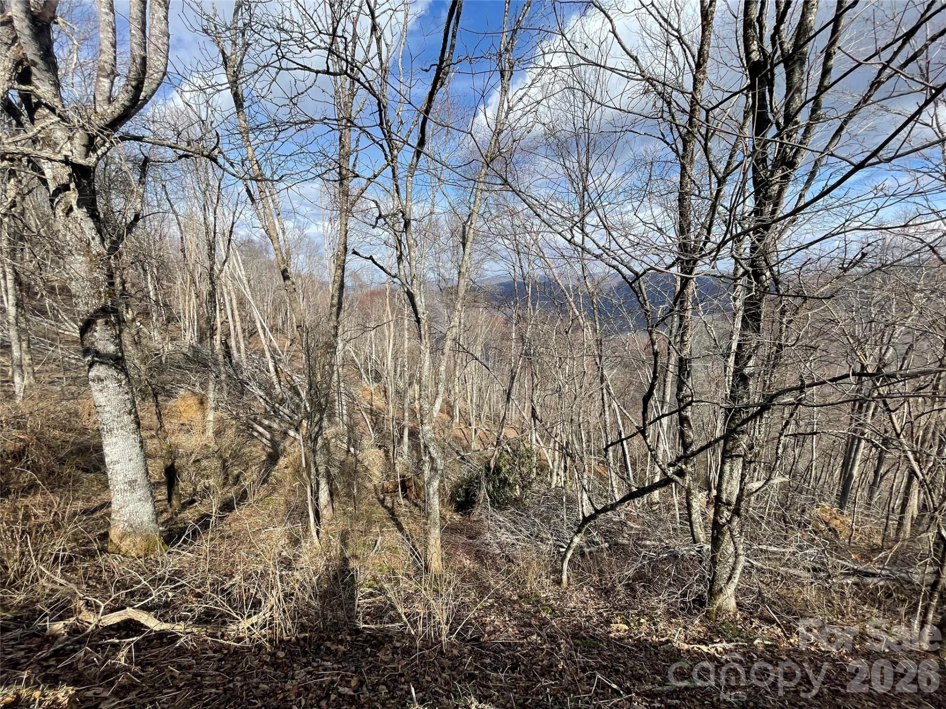 Lot #39 Ridge Top Circle - Photo 33