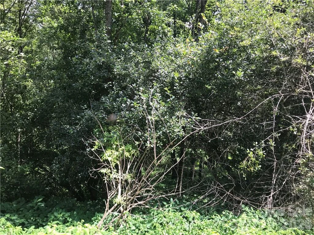 Lot #39 Ridge Top Circle - Photo 7
