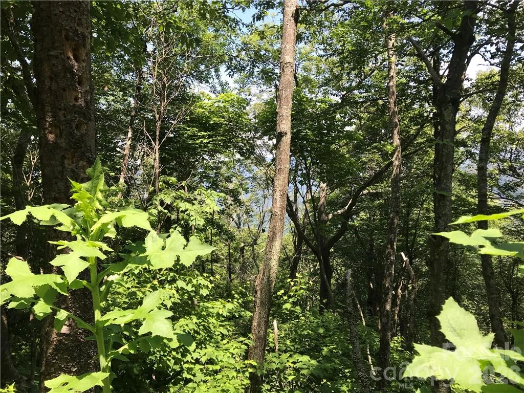 Lot #39 Ridge Top Circle - Photo 10