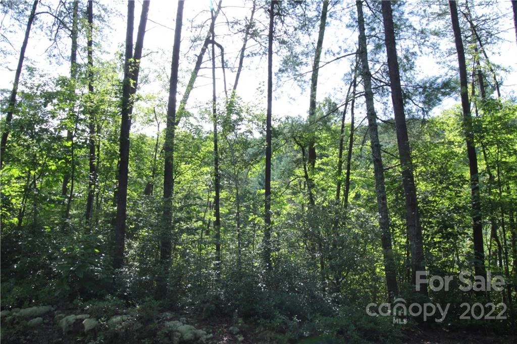 Lot 19 Gastons Bee Gum Road #19 - Photo 7