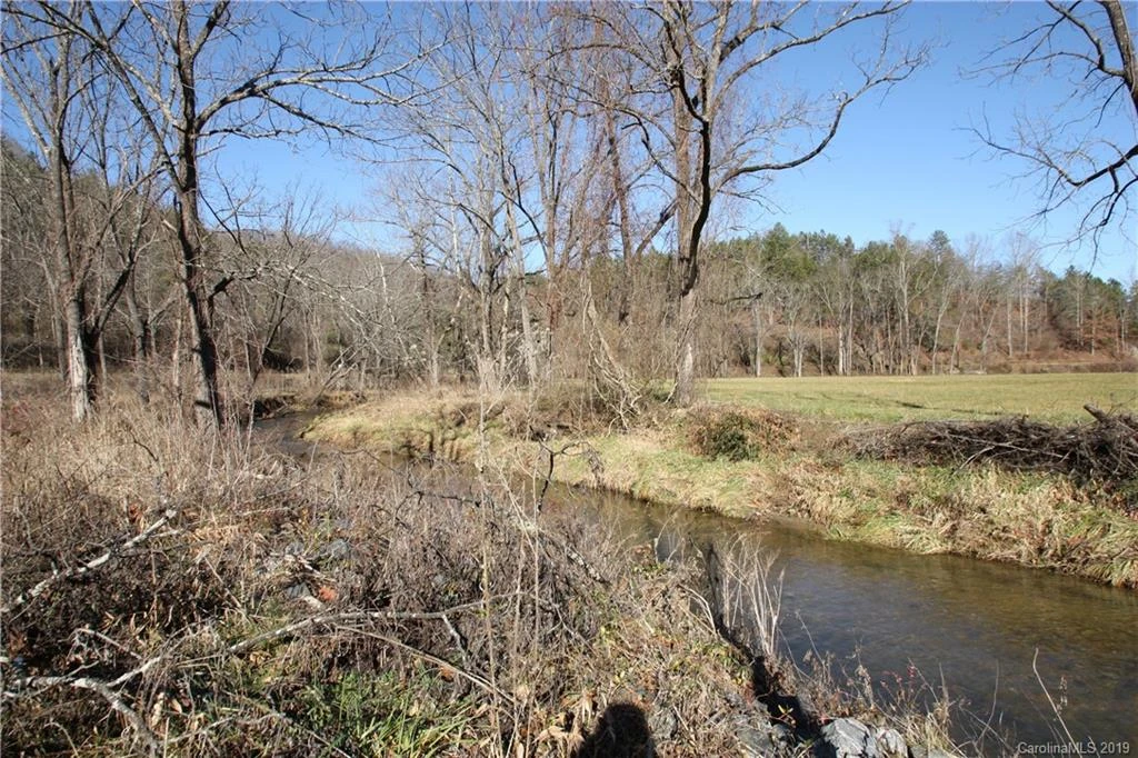 199 Sandy Mush Creek Road - Photo 2