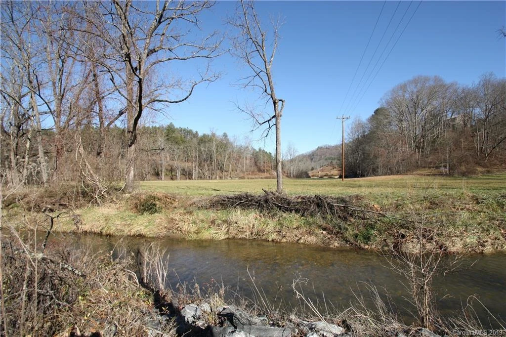199 Sandy Mush Creek Road - Photo 3