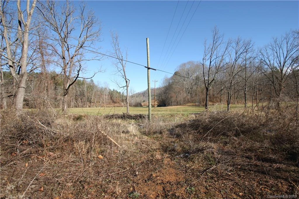 199 Sandy Mush Creek Road - Photo 4