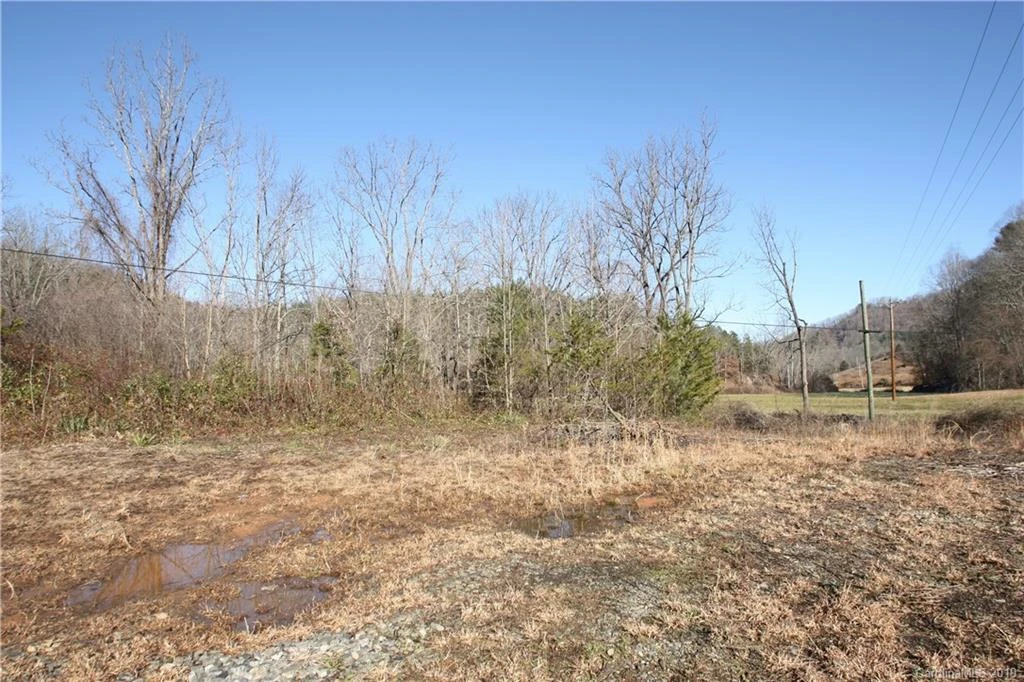 199 Sandy Mush Creek Road - Photo 5