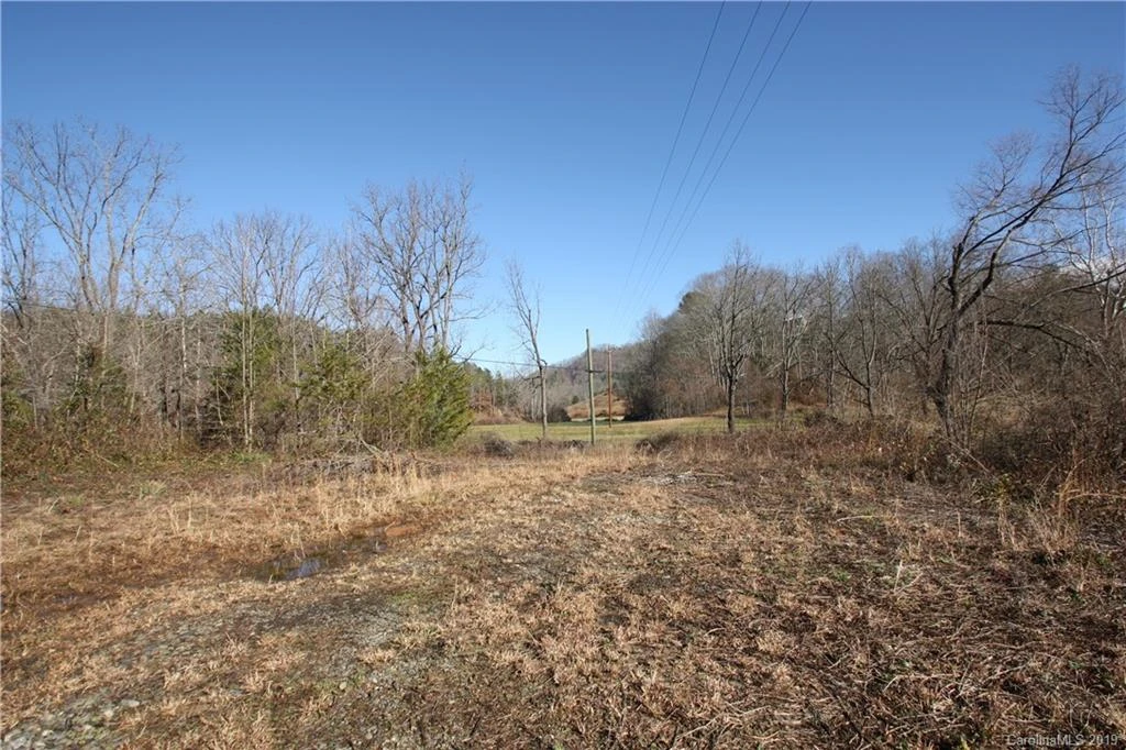199 Sandy Mush Creek Road - Photo 6