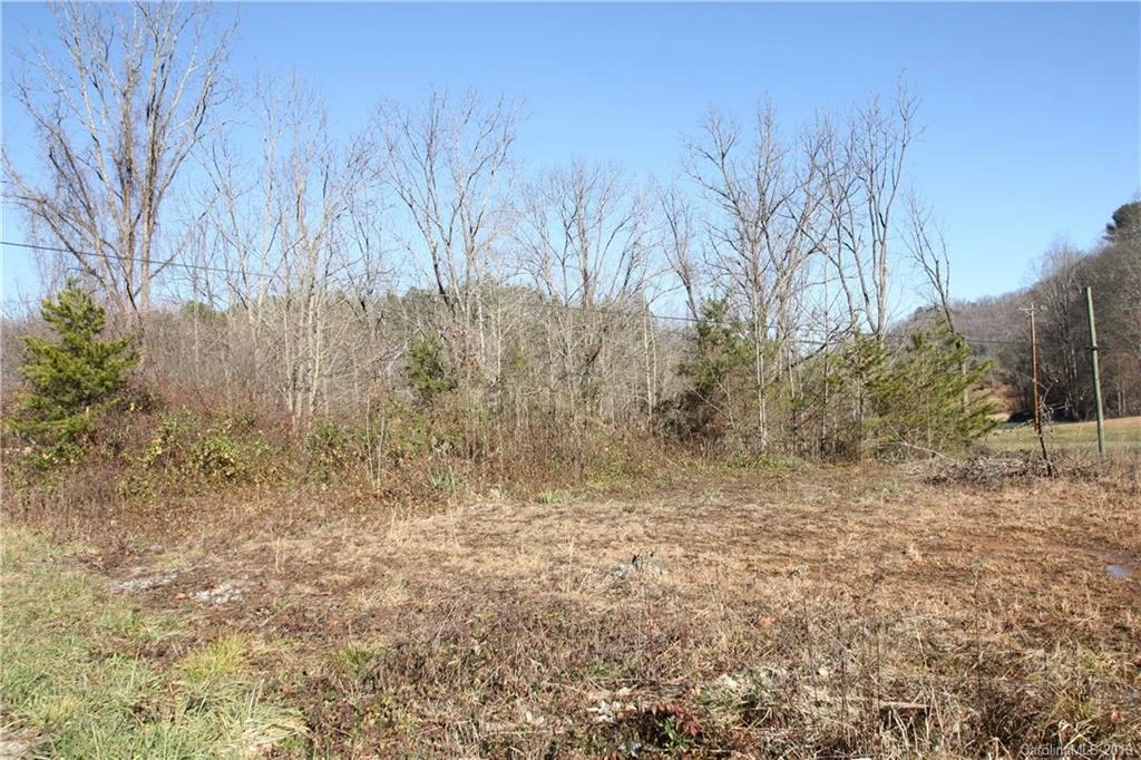 199 Sandy Mush Creek Road - Photo 7