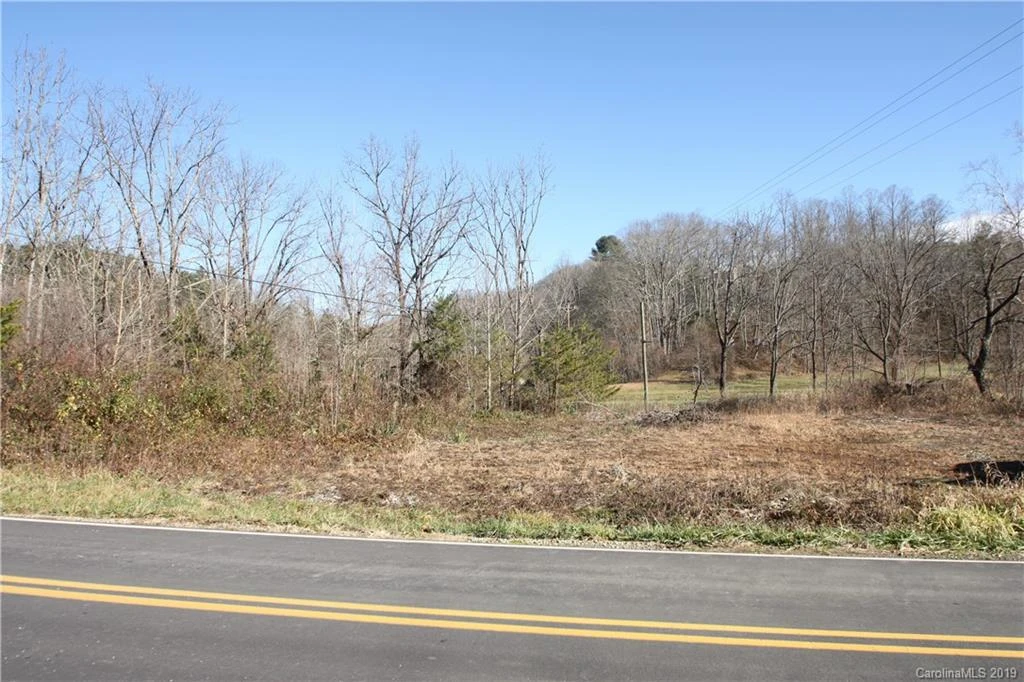 199 Sandy Mush Creek Road - Photo 8