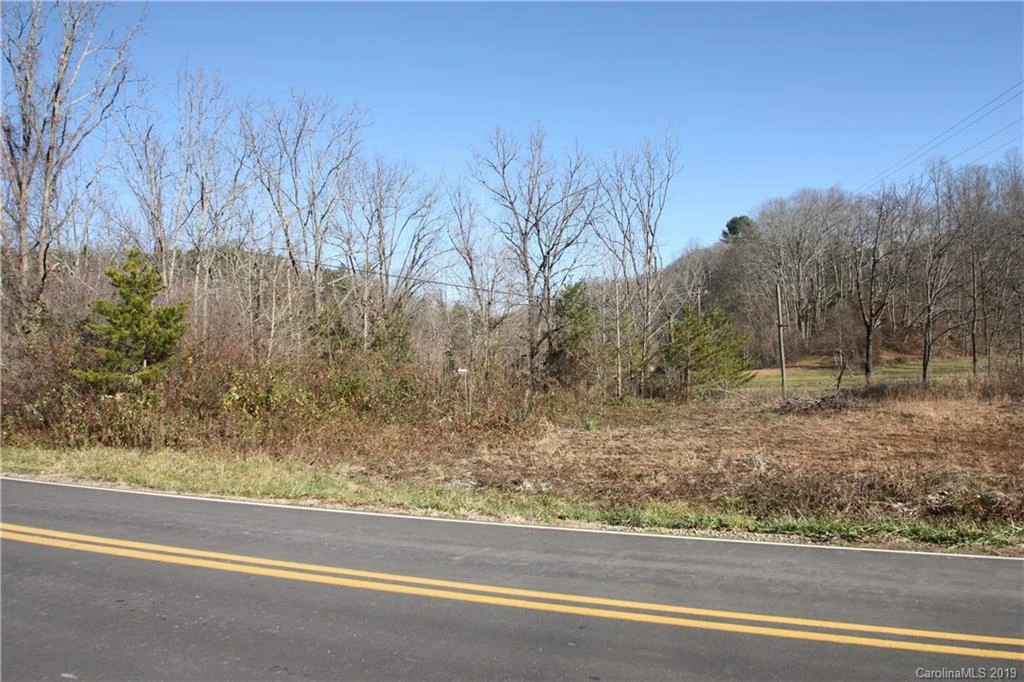 199 Sandy Mush Creek Road - Photo 9