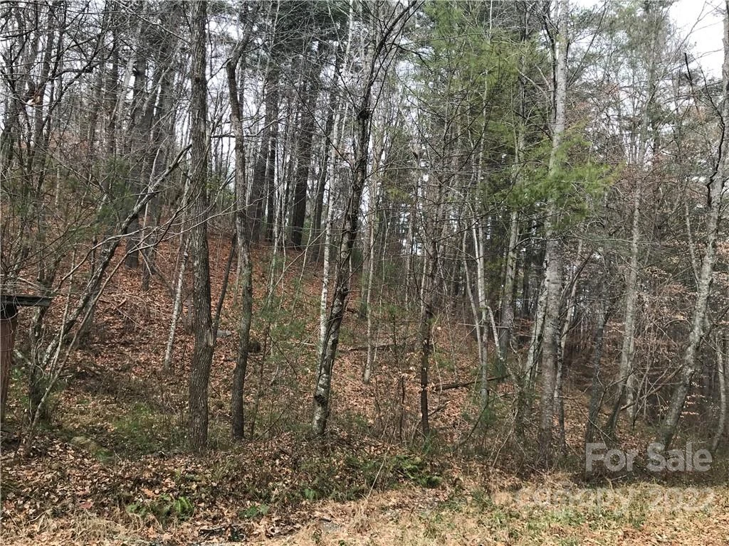 27 Eller Hollow Road - Photo 2