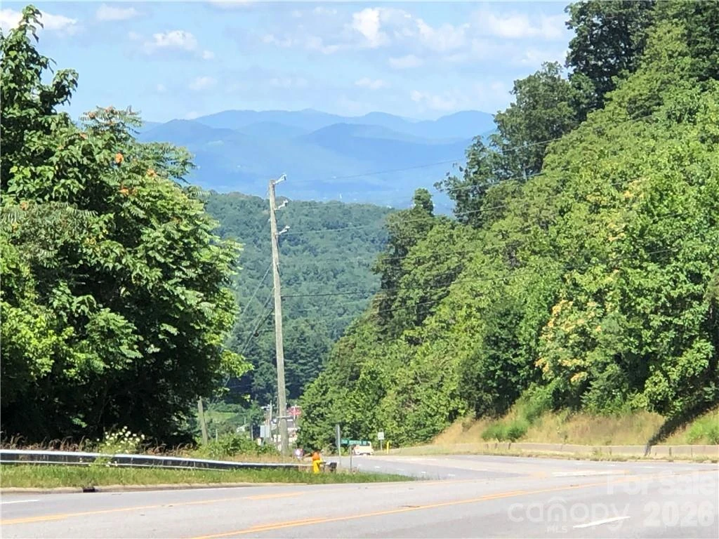 10 acres Charlotte Highway - Photo 2