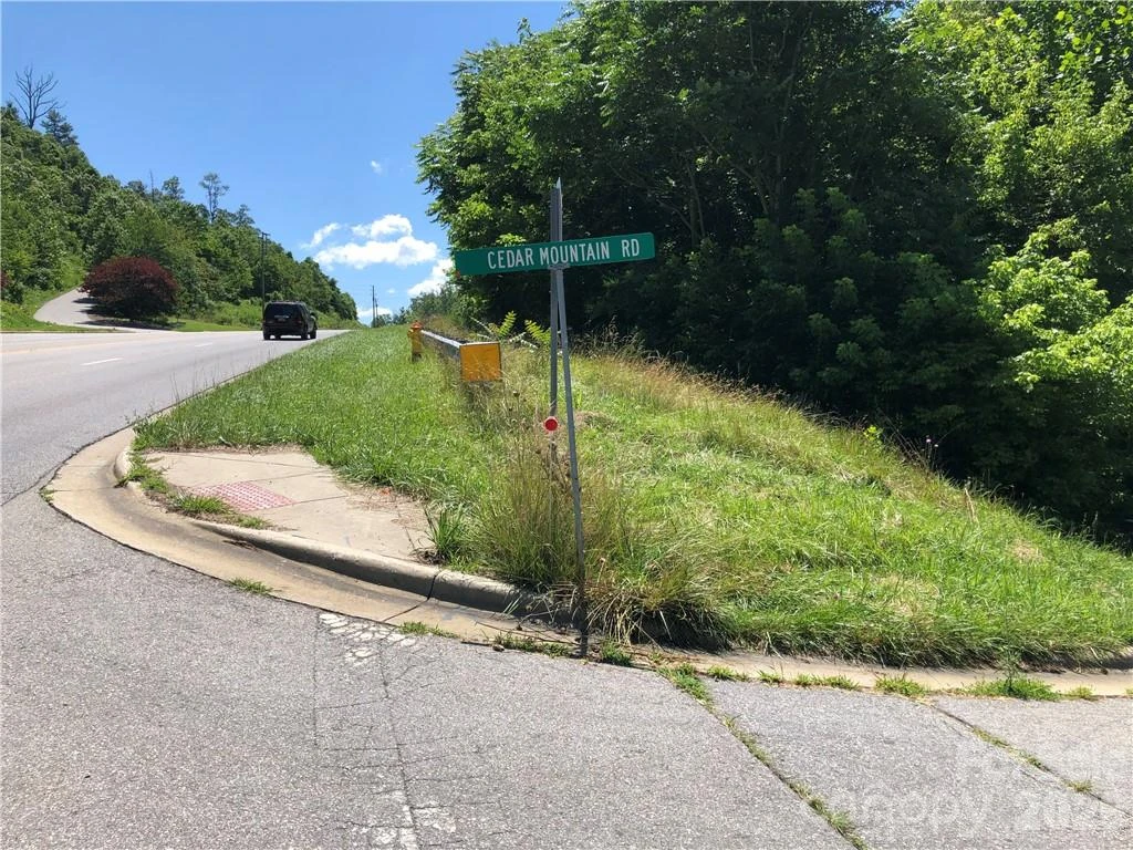 10 acres Charlotte Highway - Photo 21