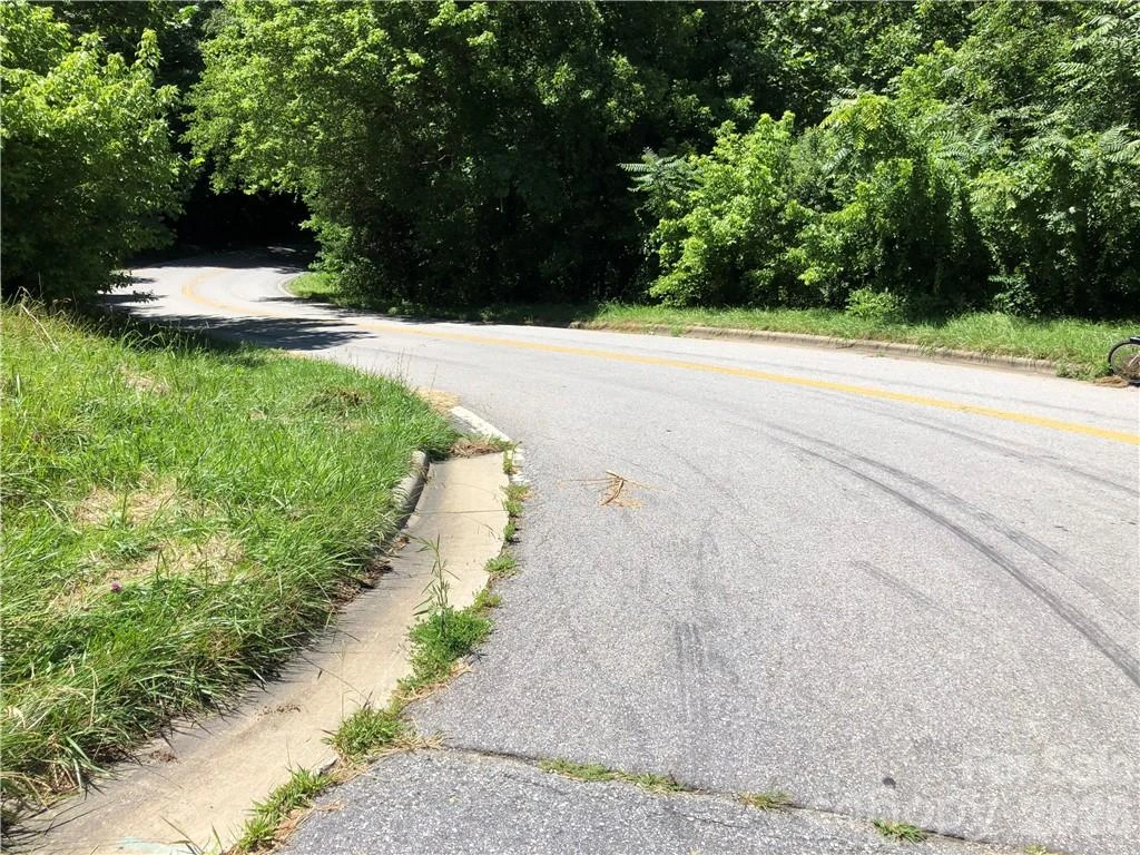 10 acres Charlotte Highway - Photo 24