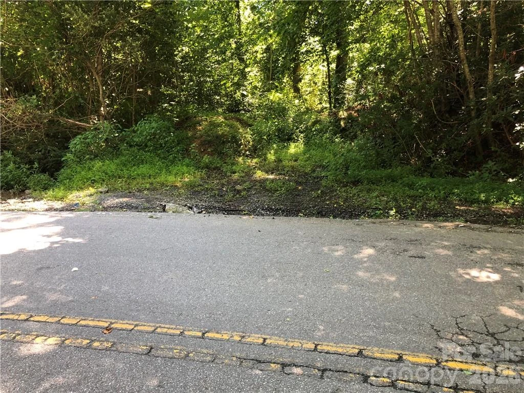 10 acres Charlotte Highway - Photo 26
