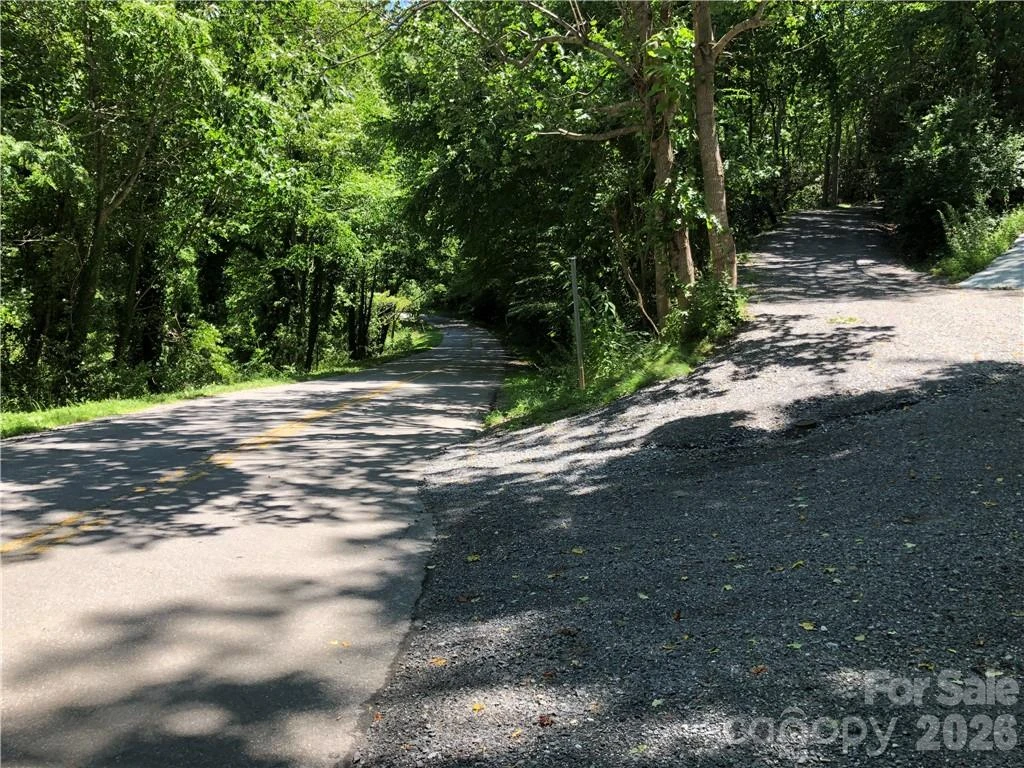 10 acres Charlotte Highway - Photo 29