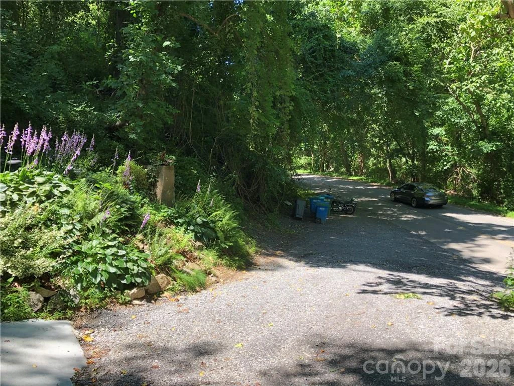 10 acres Charlotte Highway - Photo 31