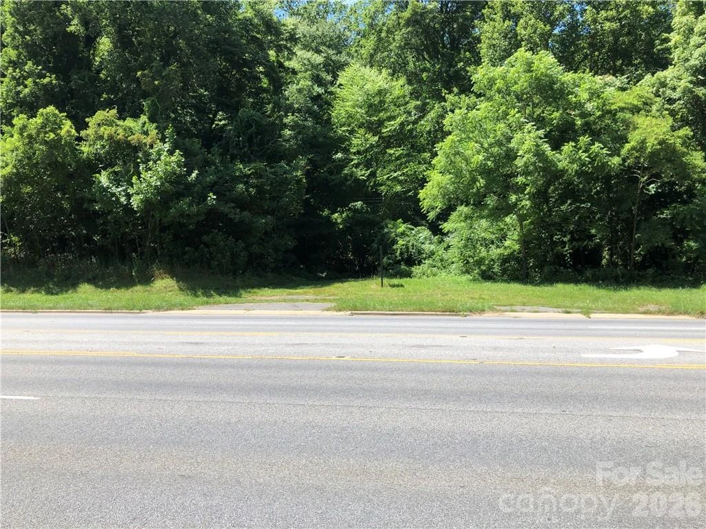 10 acres Charlotte Highway - Photo 6