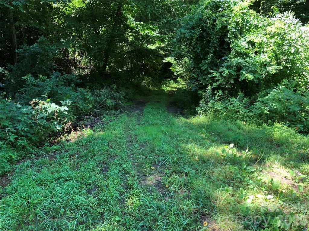 10 acres Charlotte Highway - Photo 9