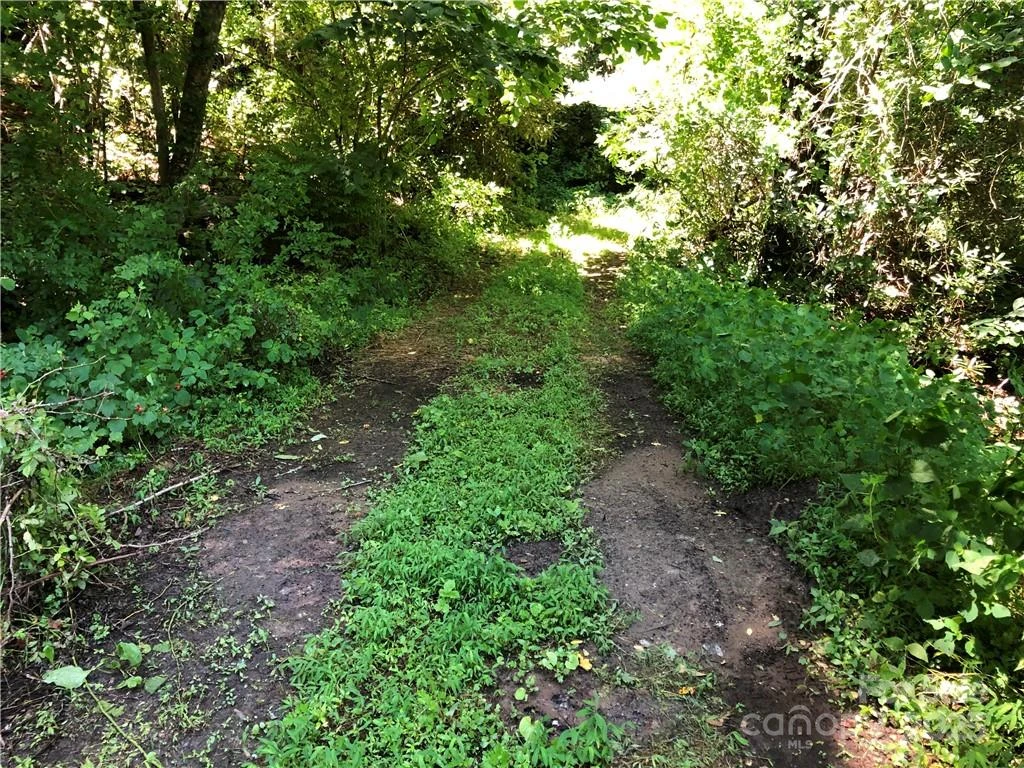 10 acres Charlotte Highway - Photo 12