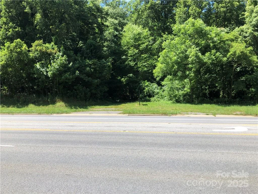 10 acres Charlotte Highway - Photo 7