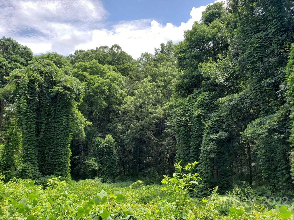 548 Caribou Road - Photo 3