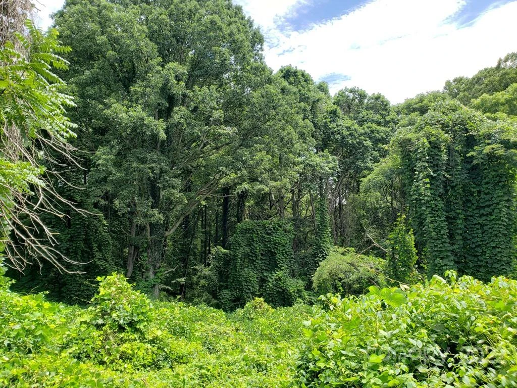 548 Caribou Road - Photo 4