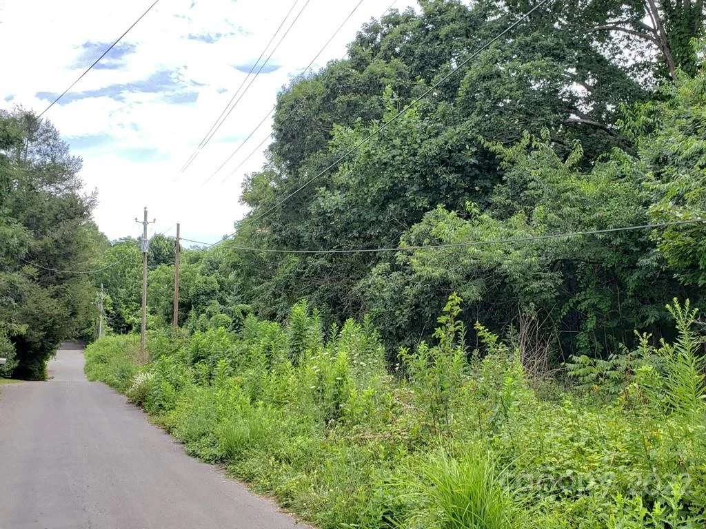 548 Caribou Road - Photo 6