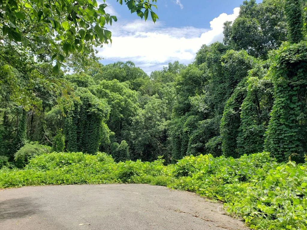 548 Caribou Road - Photo 2