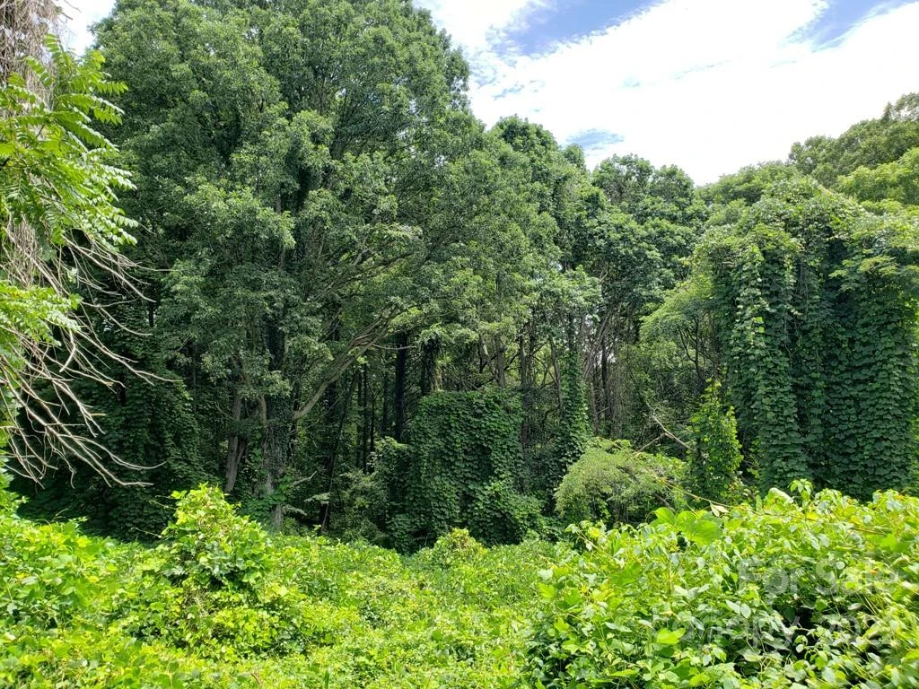 548 Caribou Road - Photo 4